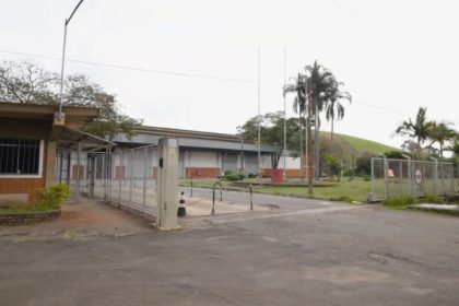 Família Shih